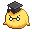 Evolution Image
