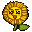Evolution Image